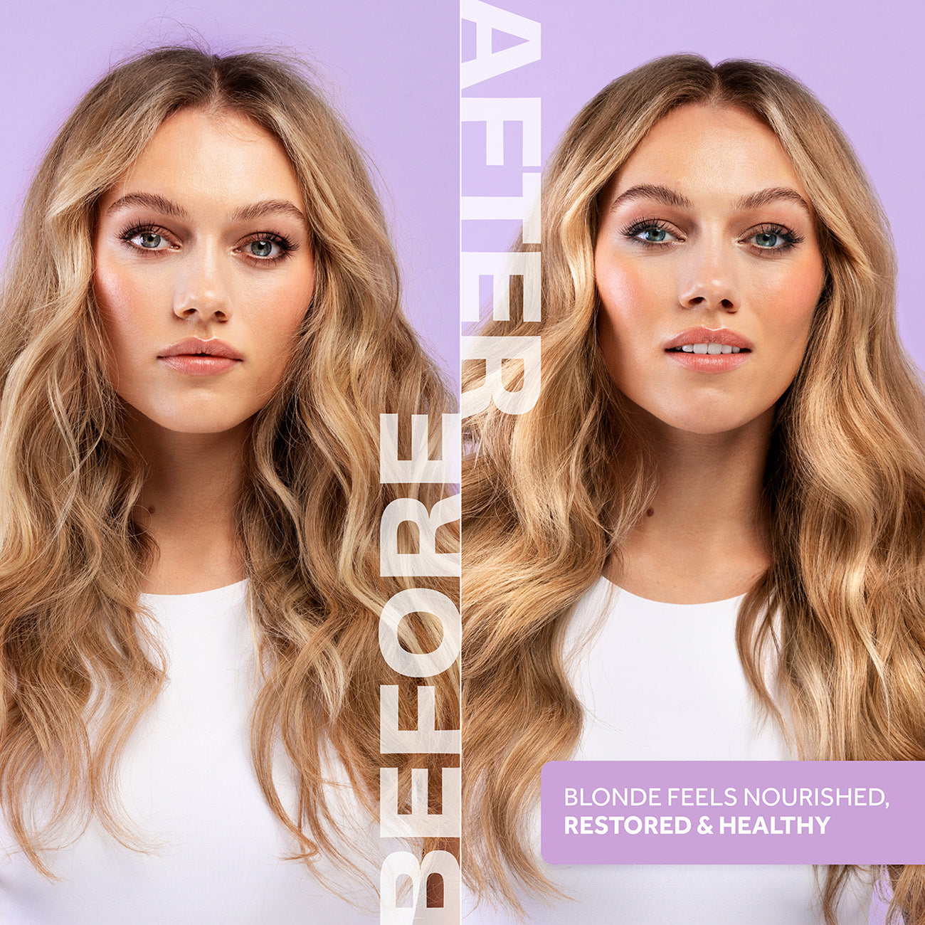 Bleach Blondes : Everyday Care Conditioner