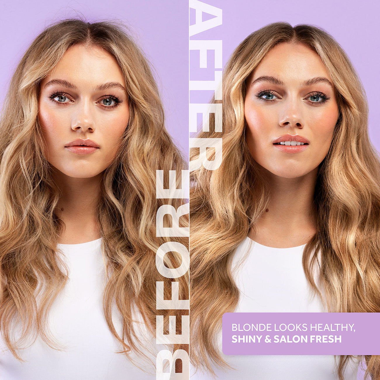 Bleach Blondes : Everyday Care Shampoo