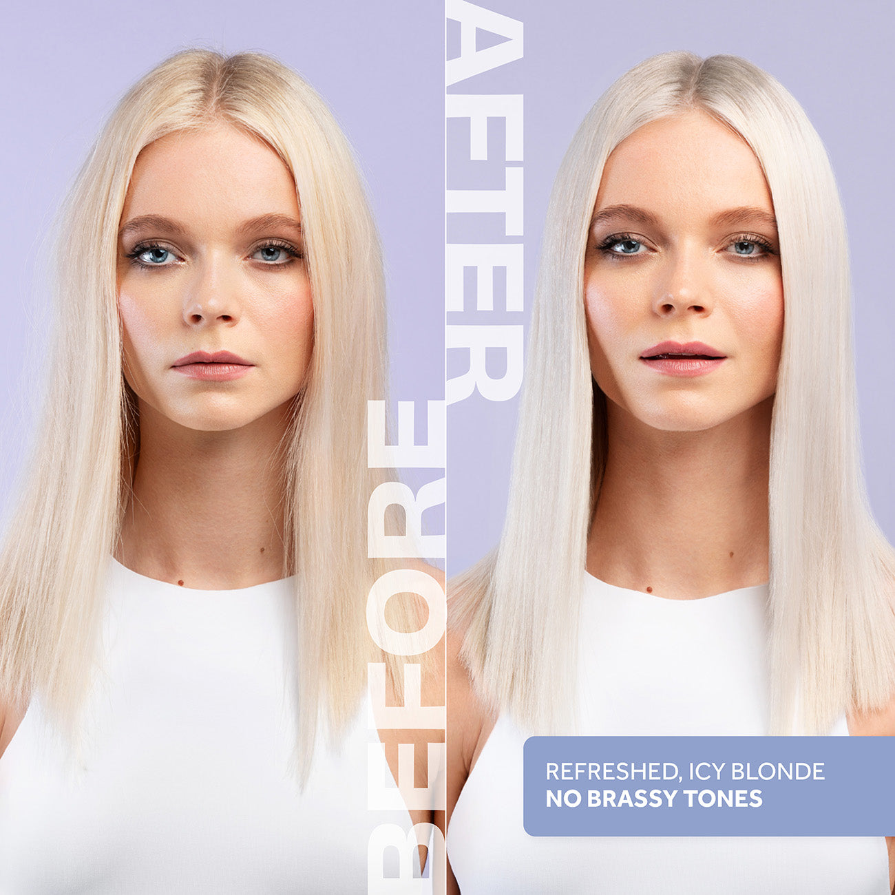 Bleach Blondes : Ice White Toning Shampoo