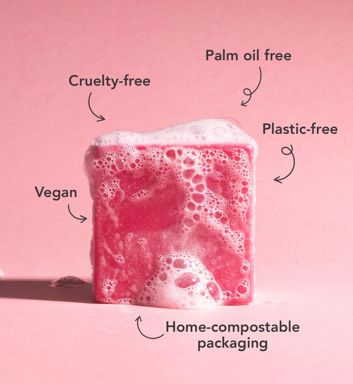 Sjampóstykki frá Ethique